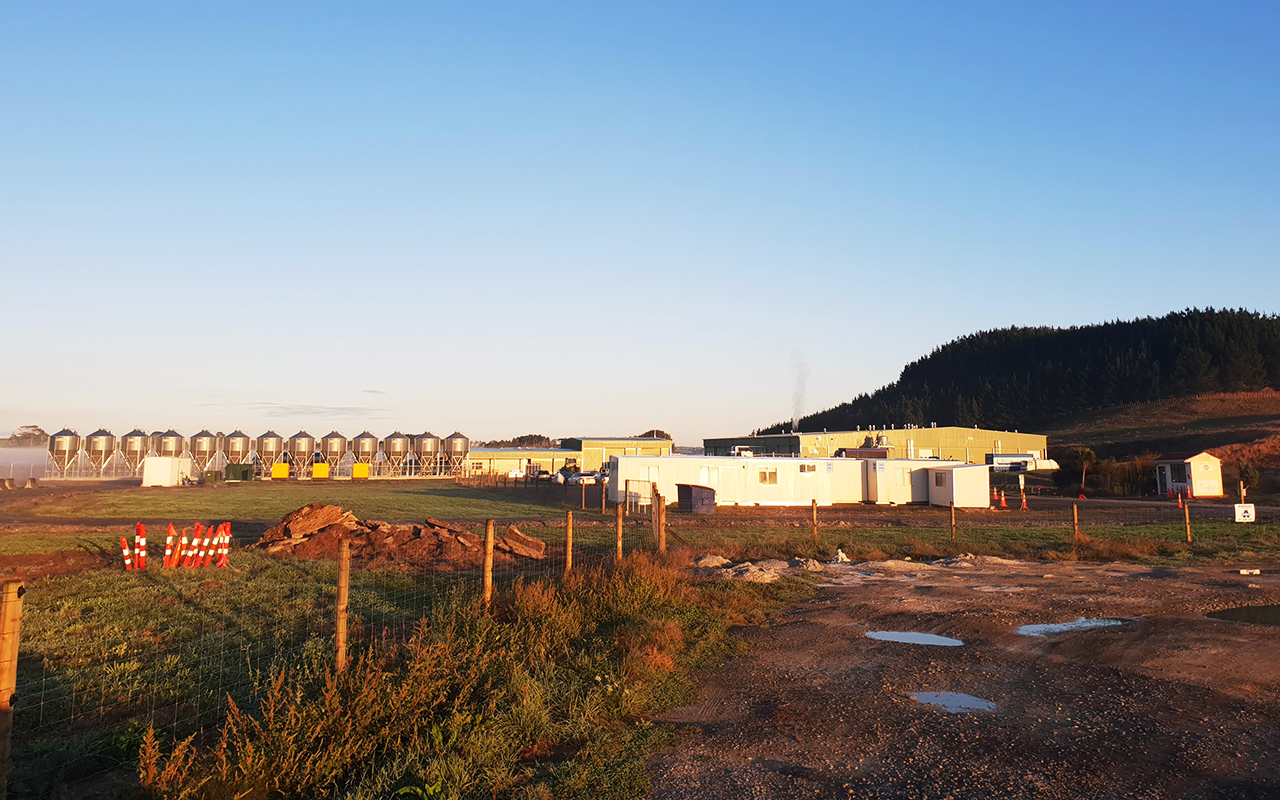 Poultry shed